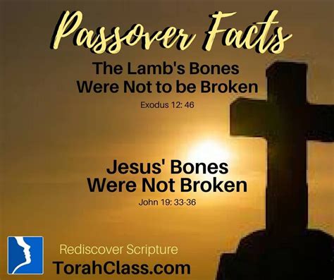 passover lamb bones not broken